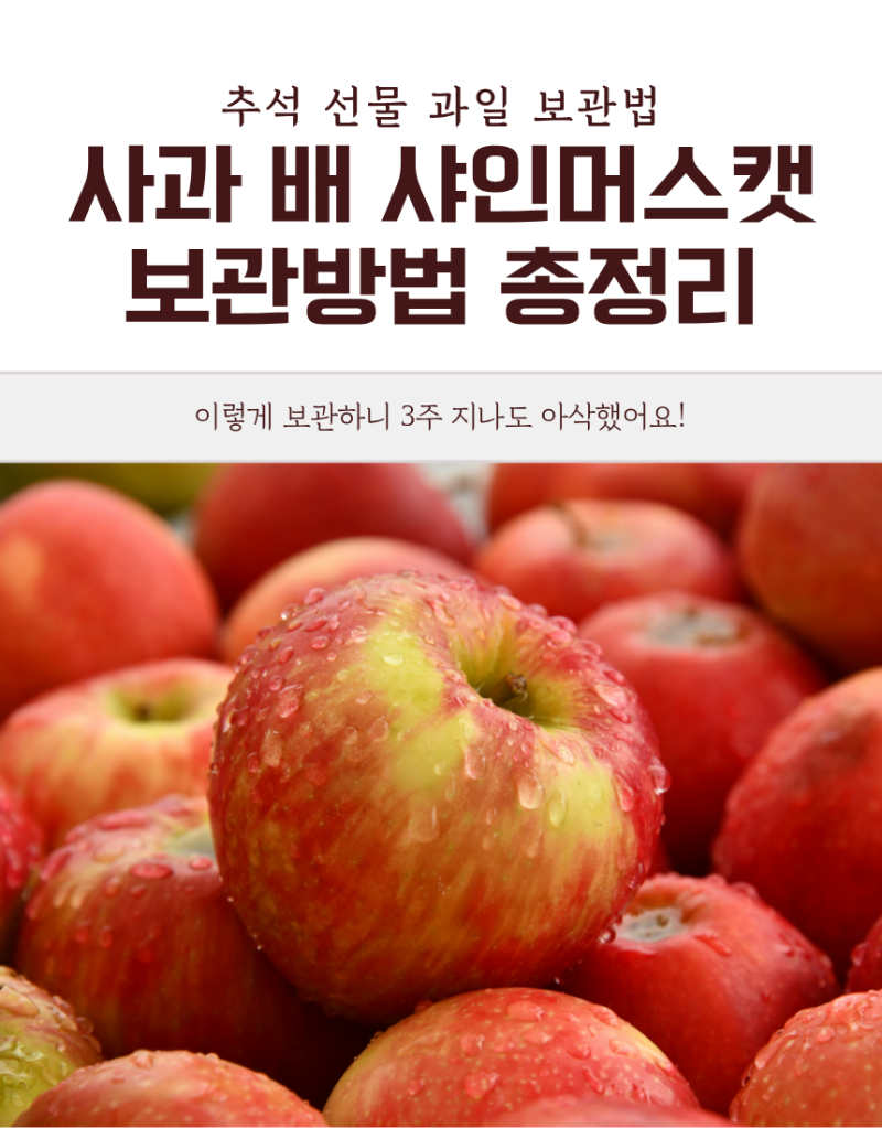 추석 선물 과일 보관법 총장리 사과 배 샤인머스켓 이렇게 보관하니 3주 지나도 아삭했어요