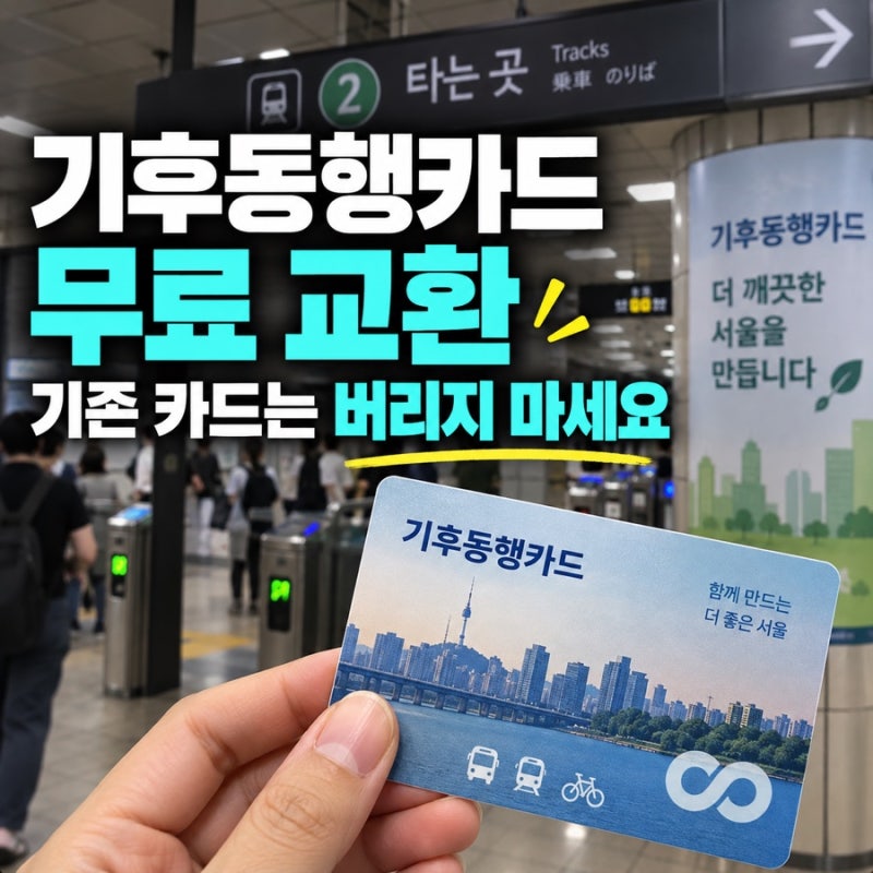 기후동행카드 무료 교환, 기존 카드 버리면 안 되는 이유｜교환처·환불 총정리