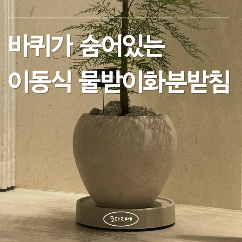 바퀴 안 보이는 "이동식 화분받침대" 내돈내산 후기 (대형나무 물주기 고민해결)