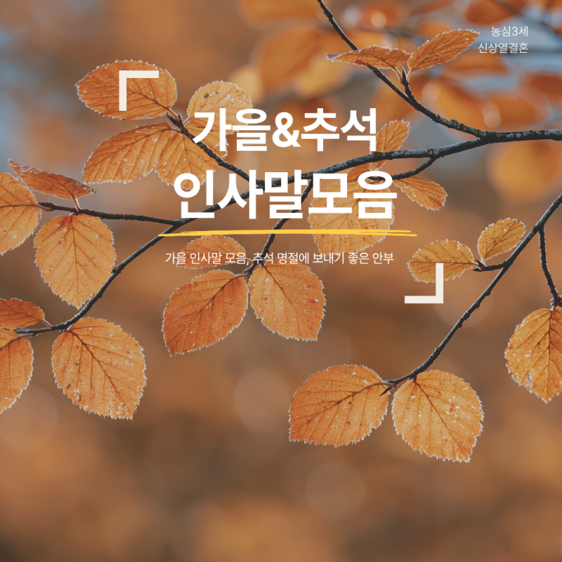 가을 인사말 모음, 추석 명절에 보내기 좋은 안부 문구