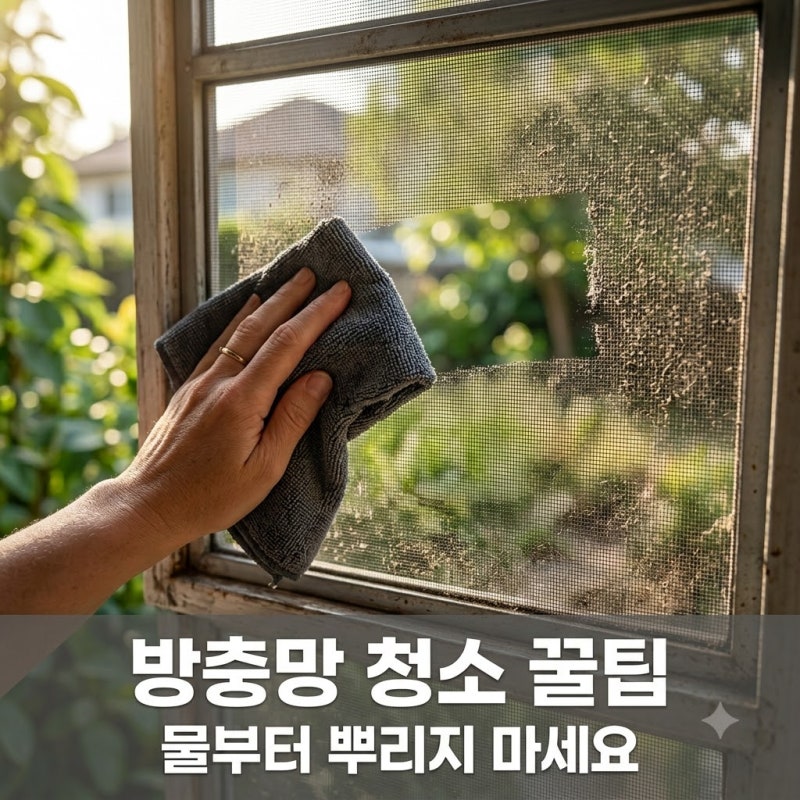 방충망 먼지 청소 물부터 뿌리면 안 되는 이유와 올바른 순서
