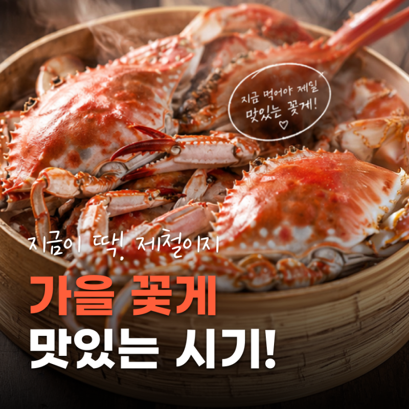 9월 제철 꽃게 ｜살 꽉 찬 가을 숫꽃게 지금 먹기 좋은 이유