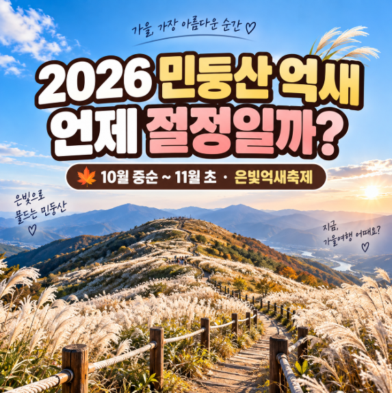 2026 정선 민둥산 억새 언제 절정일까? 축제·등산코스까지 총정리