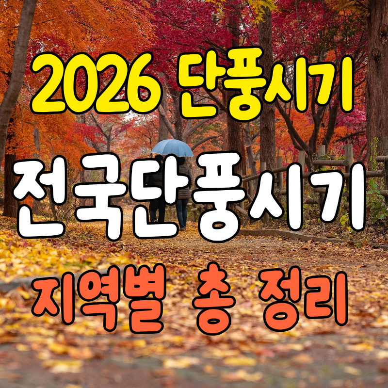 2026 단풍시기 언제? 전국 단풍 절정시기 설악산·내장산·지리산 총정리 및 숙소 추