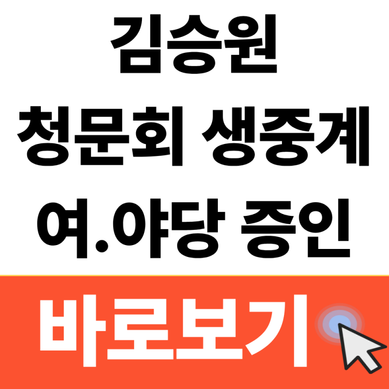 김승원 청문회 일정 생중계 시청방법(증인,쟁점,논란) 총정리