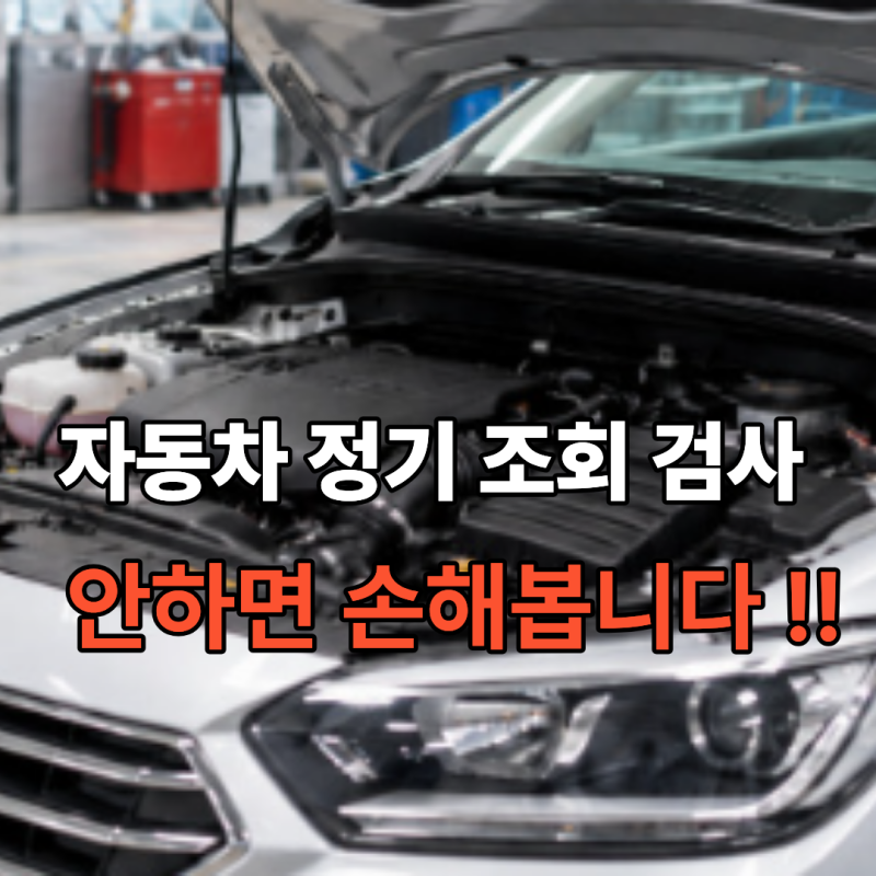 자동차 정기검사 조회 안 했다가 과태료 냈습니다 가장 먼저 확인해야 할 것
