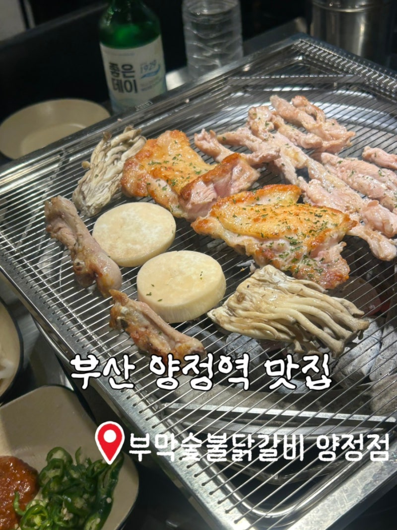 양정역 맛집 누구나 좋아하는 부드러운 닭갈비 부막숯불닭갈비