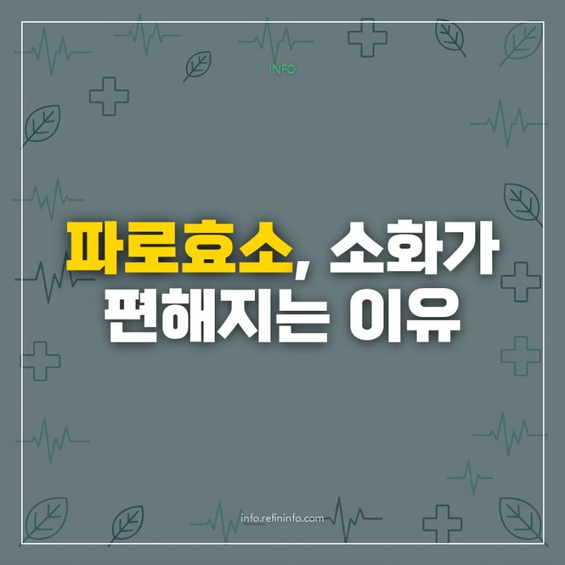 곡물 효소(파로효소) 하나 바꿨을 뿐인데 속이 편해진 이유가 여기 있었다