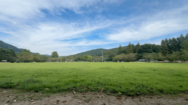 Cheongju Daejeon Nearby Places to Visit: Autumn Picnic with Your Dog! Daejeon Geumgang Lohas...