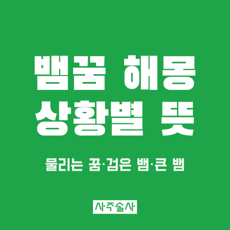 뱀꿈 해몽, 물리는 꿈부터 검은 뱀·큰 뱀까지 상황별 뜻 정리
