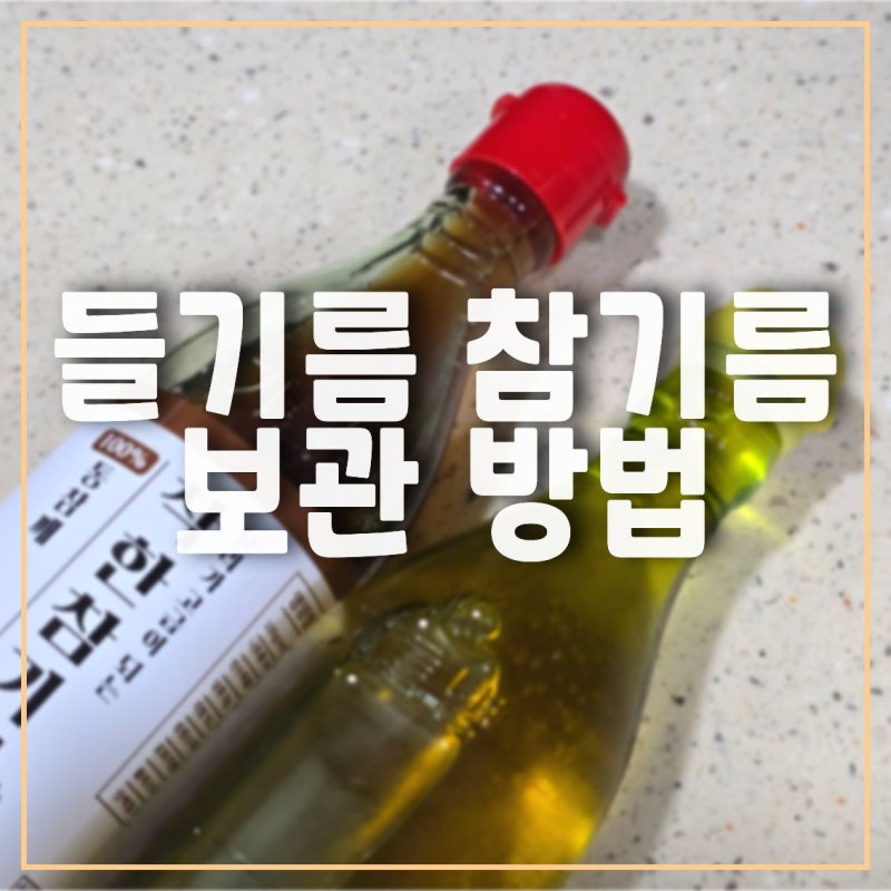 들기름은 냉장고에 보관해야지! 그럼 참기름은? 각종 기름 보관법