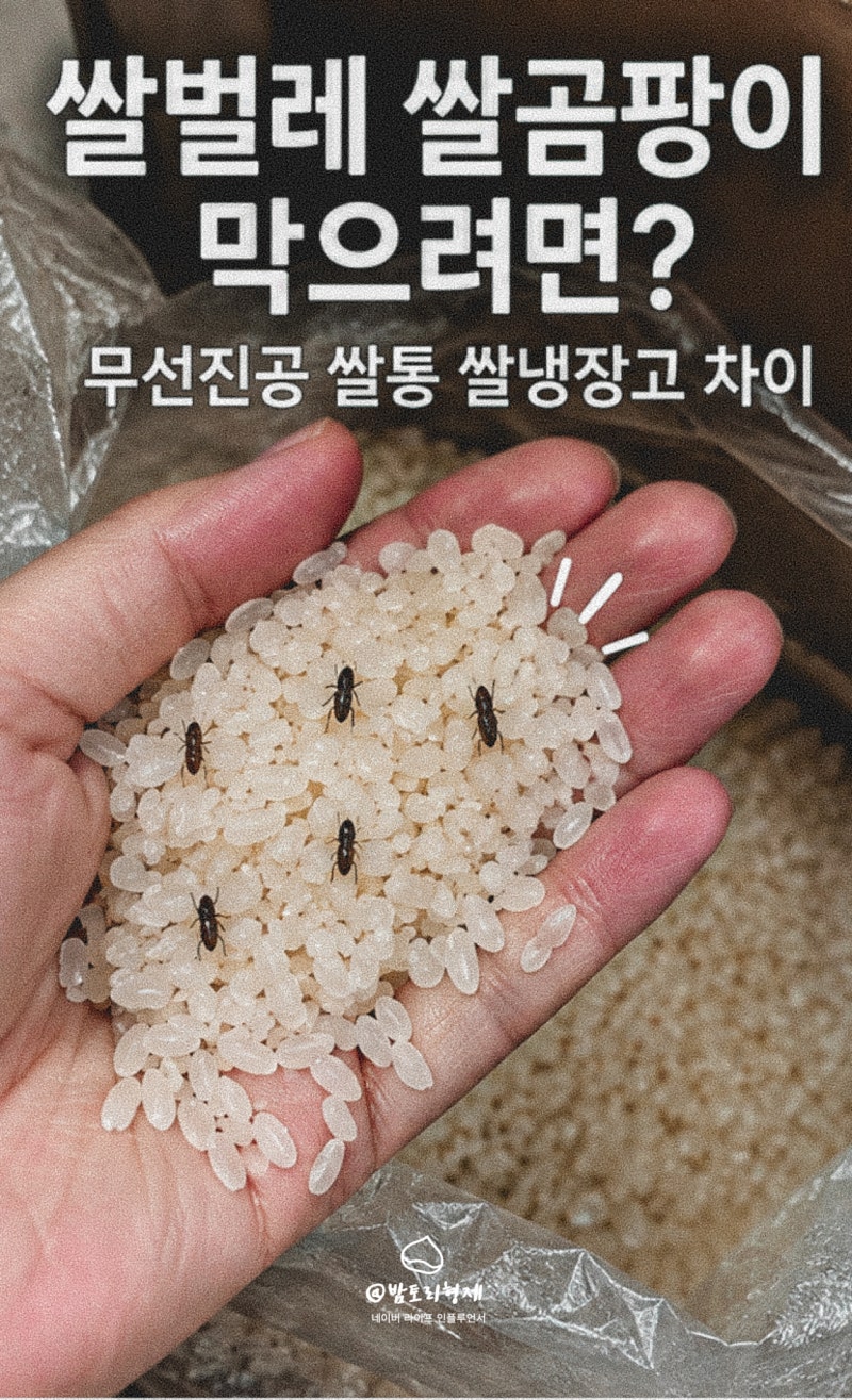 쌀벌레 쌀곰팡이 막으려면? 무선진공 쌀통 쌀냉장고 차이점까지