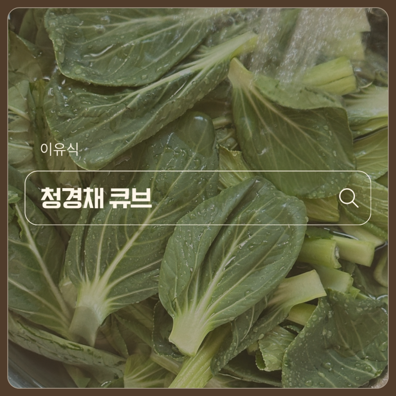 이유식 청경채 큐브 만들기 | 칼슘 챙기는 손질법, 찌는 시간, 식재료 궁합 총정리