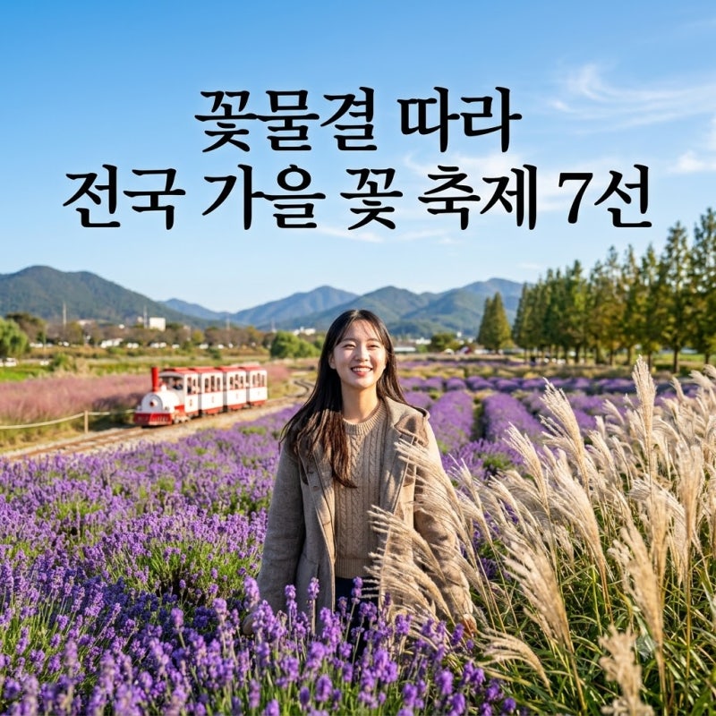 가을의 정점에서 만나는 오색 빛깔! 2026 전국 가을 꽃 축제 2탄