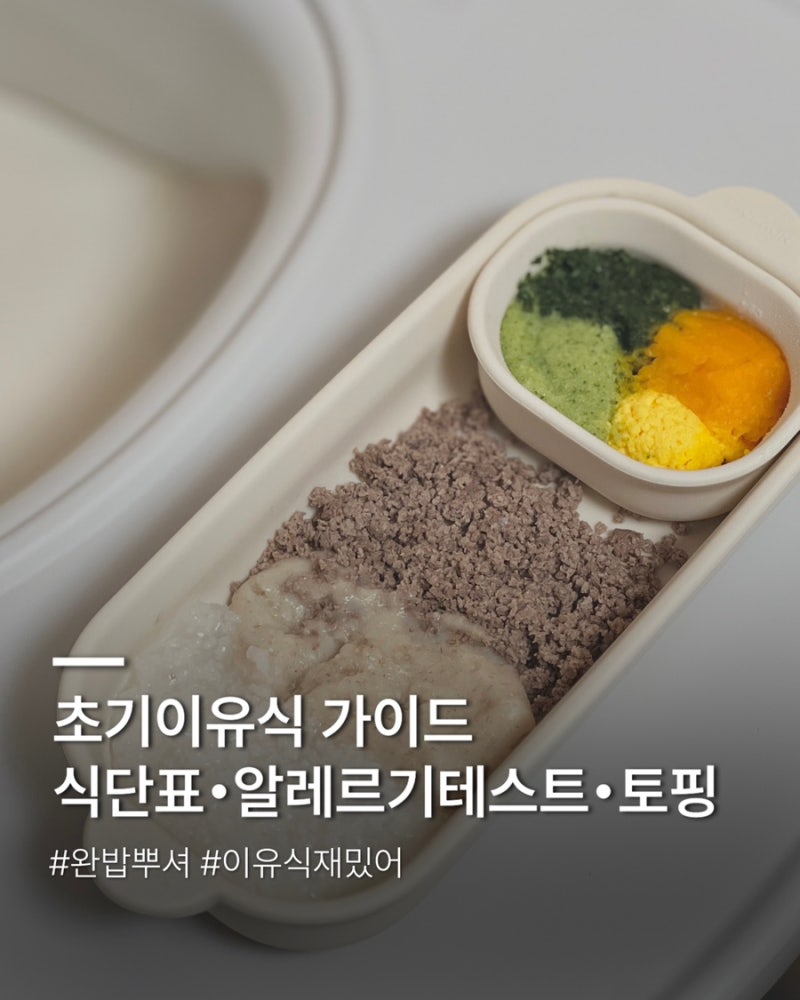 초기 이유식 완벽 가이드 (2) | 식단표, 스케쥴, 토핑이유식, 알레르기 테스트
