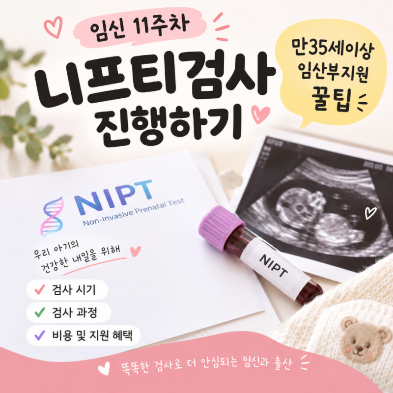 임신11주차 니프티검사 진행하기 (만35세이상 임산부지원 꿀팁) +실제경험담 포함