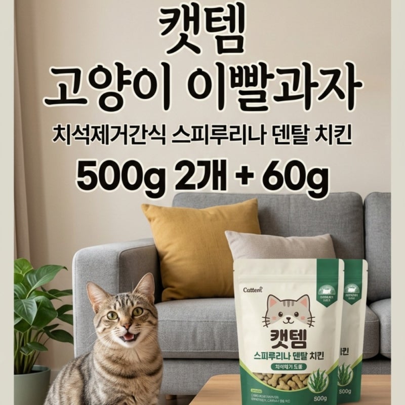 고양이 구강 관리 500g 대용량 덴탈 스낵 급여법과 치석 제거 효율 높이는 팁