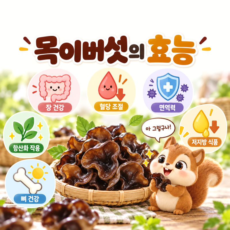 목이버섯 효능 꼬들한 버섯 손질법과 냉동 보관까지