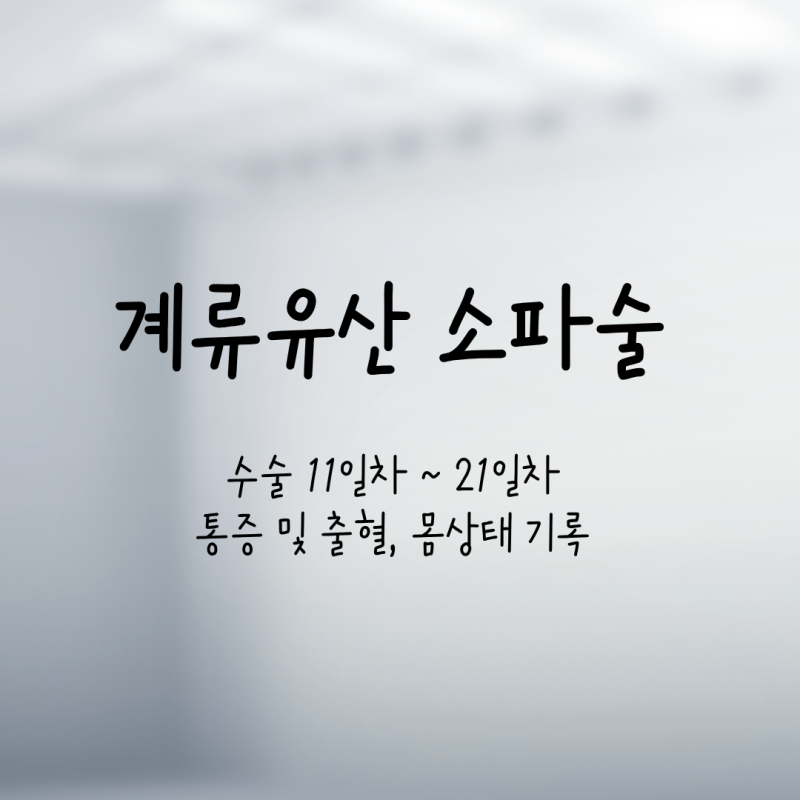 계류유산 소파술 후기, 수술 11일차 ~ 21일차 통증과 출혈, 몸 상태에 대한 기록