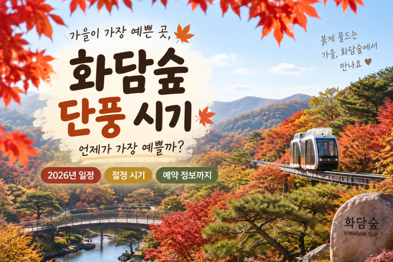 2026 화담숲 단풍 시기 언제가 제일 예쁠까? 10월 말 vs 11월 초 절정 예상