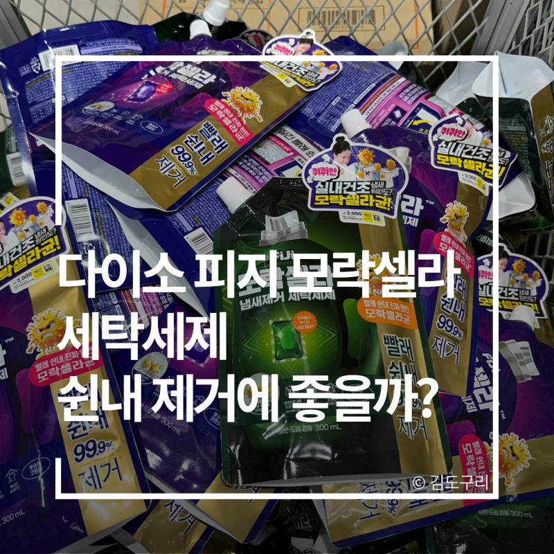 여름 품절대란 다이소 피지 모락셀라 세탁세제, 쉰내 제거에 좋을까?
