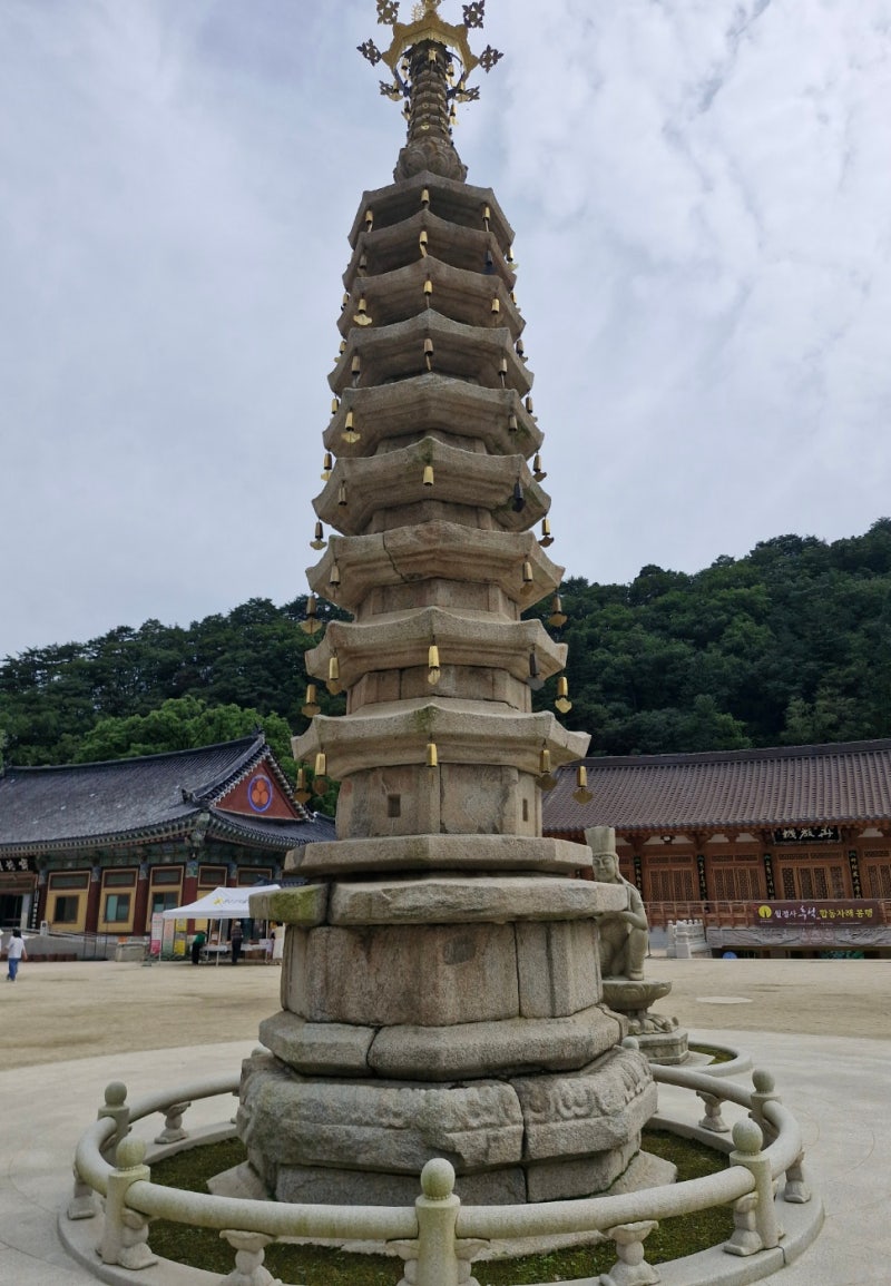 평창 가볼만한곳 오대산 월정사 전나무숲 아이와 걷기 좋은 평창여행 코스