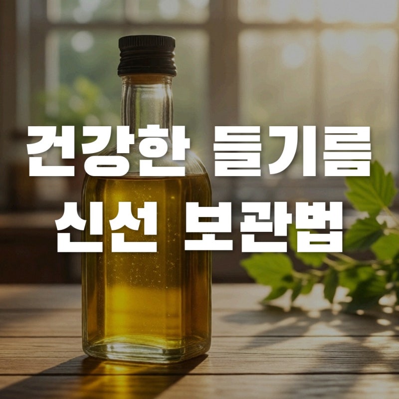 공복 들기름 섭취 시 주의할 산패와 신선한 보관법