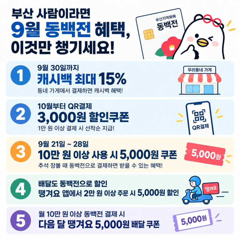동백전 캐시백 최대 15% 9월 혜택과 적용 조건 총정리