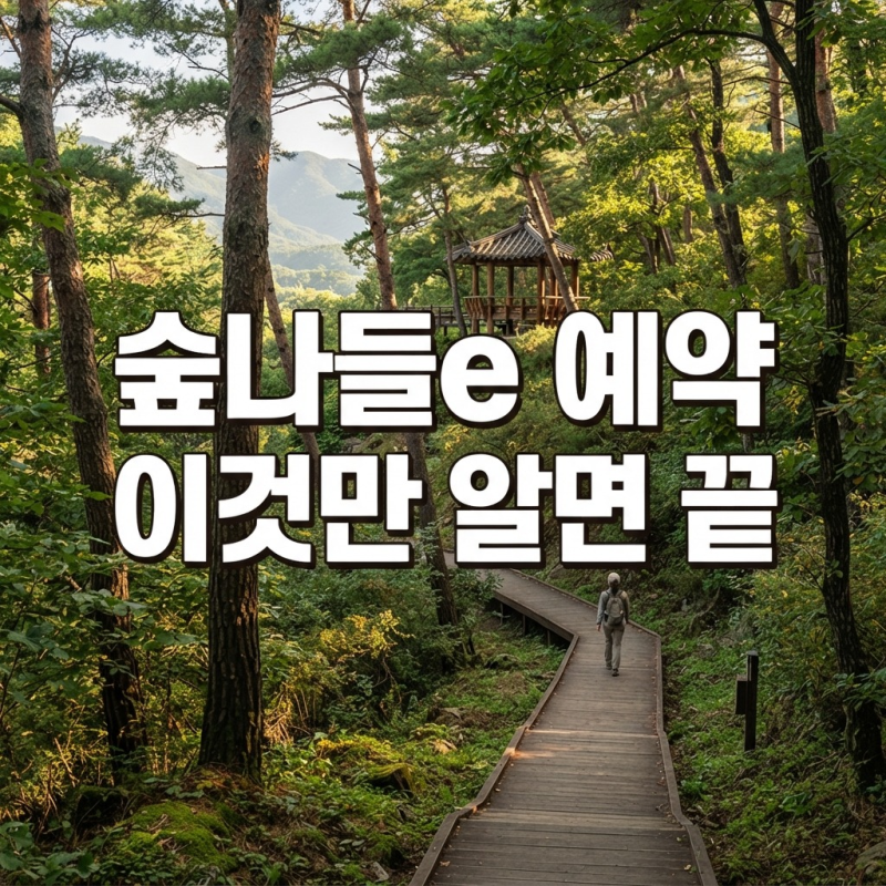 숲나들e 예약 방법 소개 자연휴양림 이용방법 한눈에