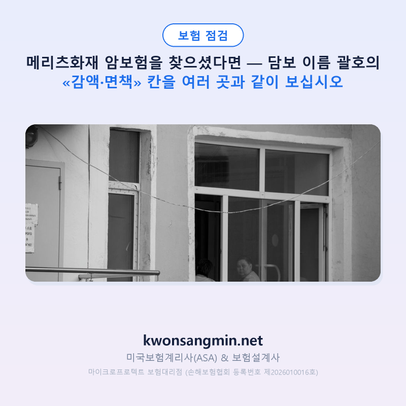 메리츠화재 암보험을 찾으셨다면 — 담보 이름 괄호의 «감액·면책» 칸을 여러 곳과 같이 보....