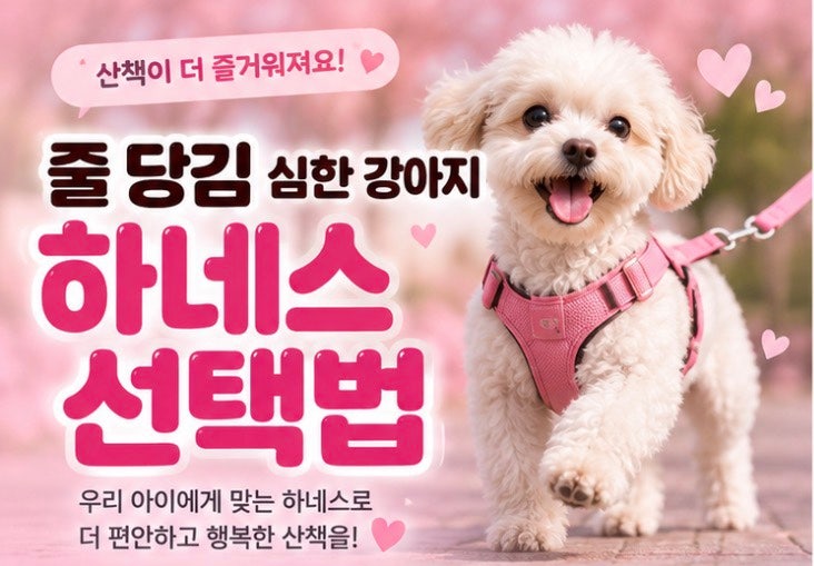 강아지 하네스 선택법｜산책할 때 줄 당김 심한 강아지에게 맞는 하네스 고르기