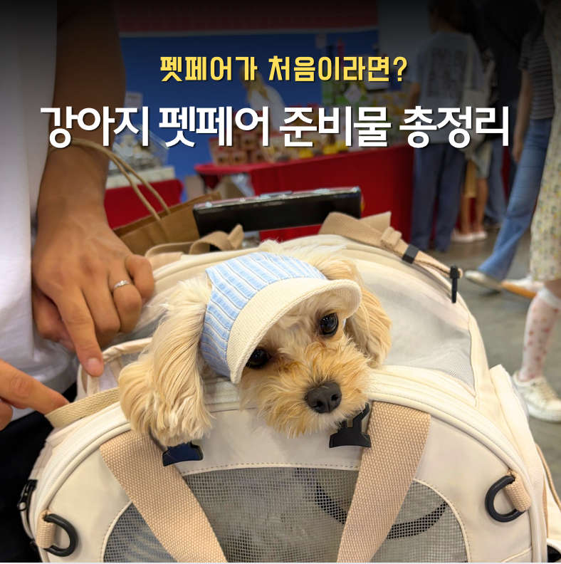 강아지 펫페어 준비물 총정리｜마이펫페어 처음 다녀와보니 꼭 필요했던 것들 (feat. 메가주)