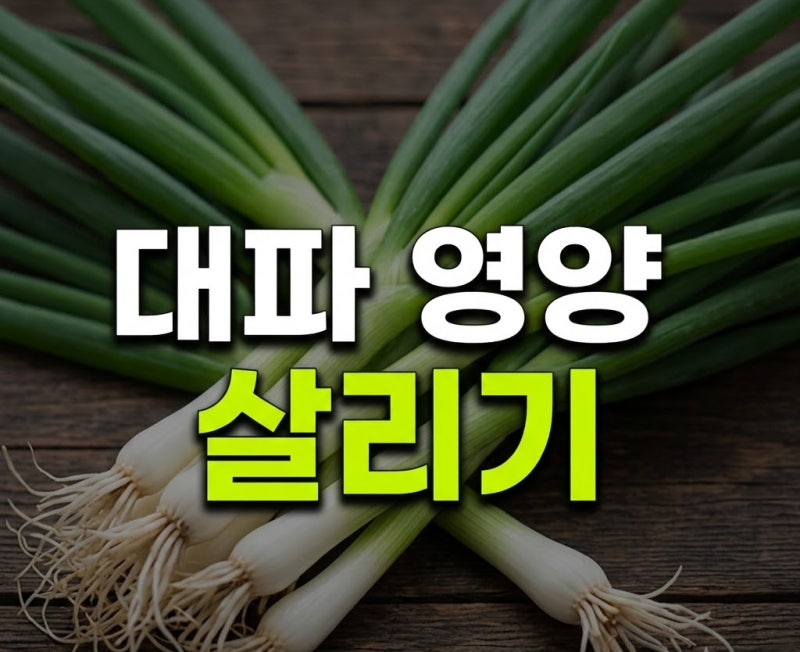 대파 손질법부터 보관법까지, 오래 두고 맛있게 먹는 대파요리·잡채 활용법