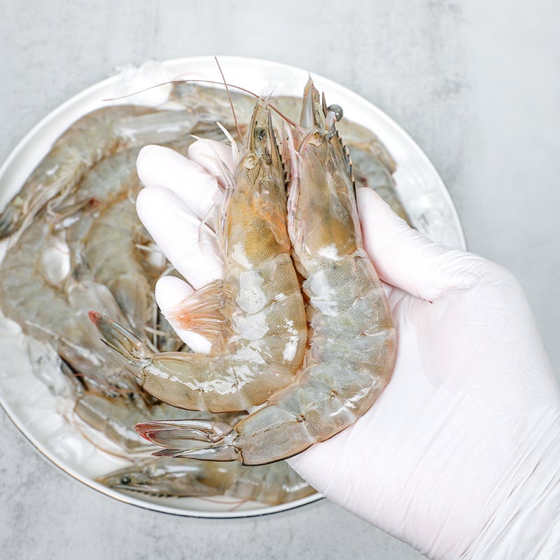 요즘 제철인 가을 활 새우 맛있게 먹는법