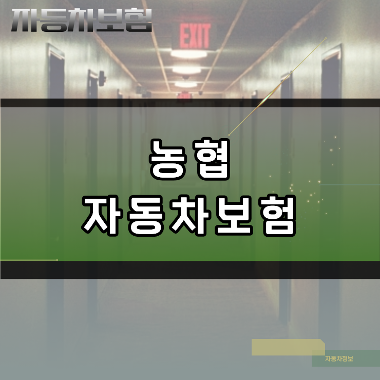 자동차보험료 절감을 위한 농협 다이렉트 보장 항목 분석과 주의사항