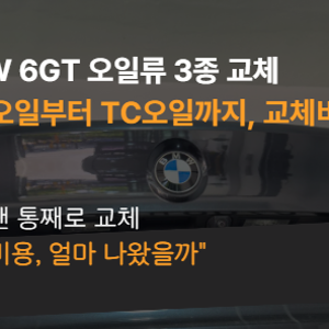 BMW 6GT 오일류 3종 교체비용 67만원 ㅣ미션오일+디퍼렌셜오일+TC오일