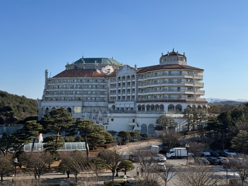 강원도 여행 숙소 양양 쏠비치 스위트 스탠다드 취사