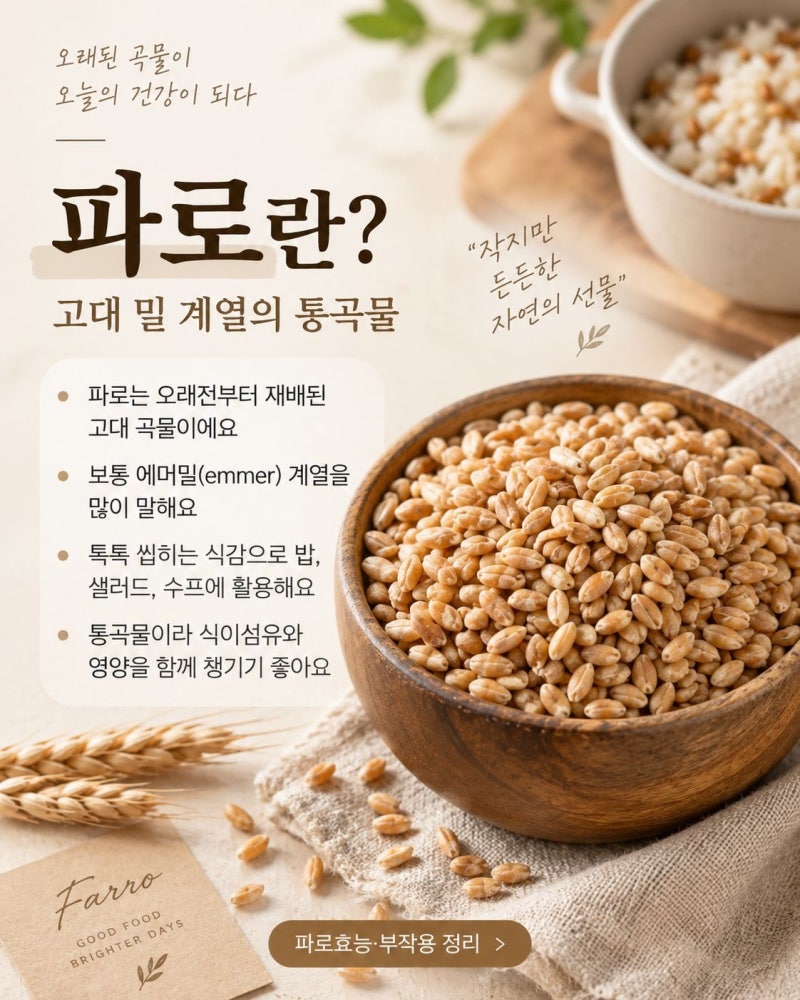 파로효능 부작용 총정리 파로곡물 먹는법까지 알아봤어요