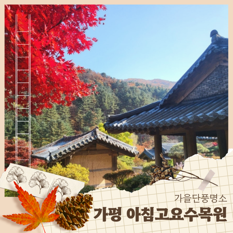 가을이 이렇게까지 예쁠 일인가｜가평 아침고요수목원 단풍 기록