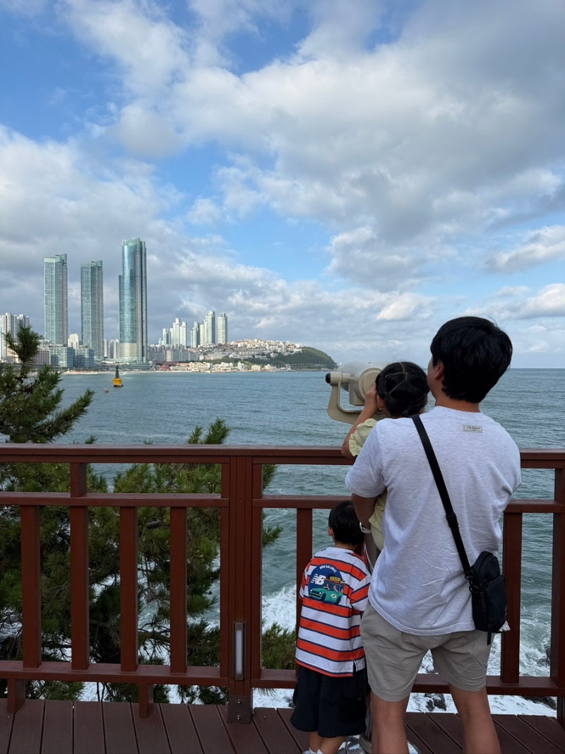 부산 가볼만한 곳 동백공원 동백섬 해운대 산책로 | 아이와 방문 후기