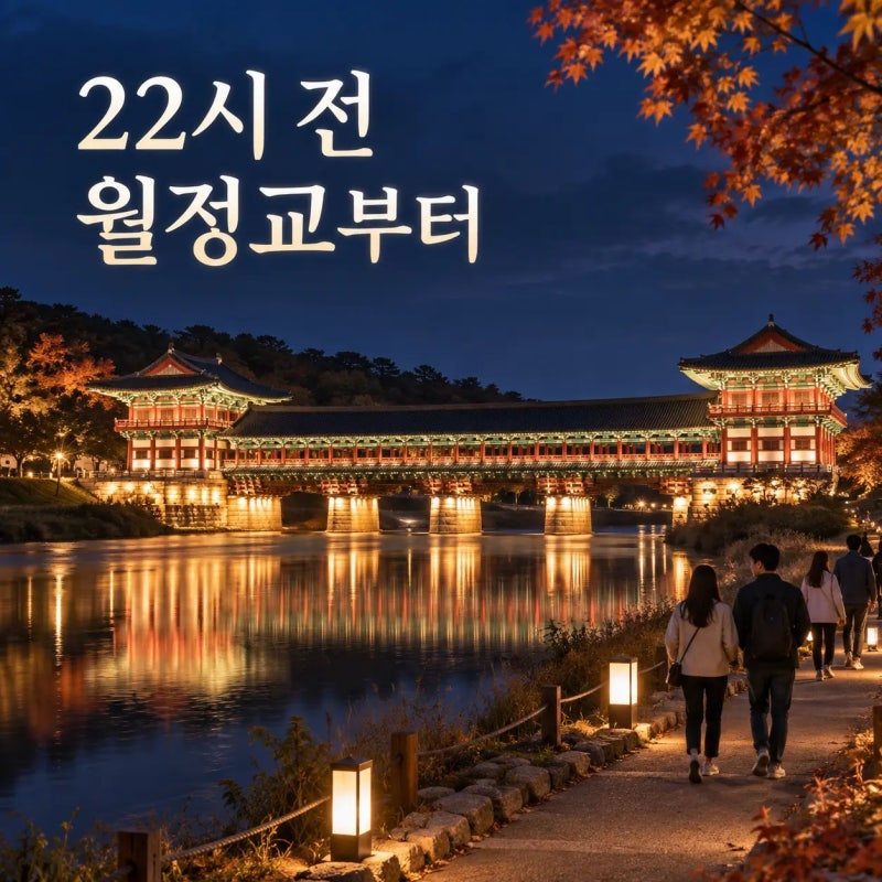 경주 국가유산 야행 2026, 처음이라면 월정교부터 이 순서로
