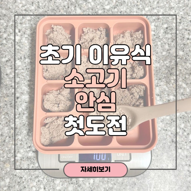 초기 이유식 첫 소고기 | 6개월 아기 소고기 안심 먹여본 후기