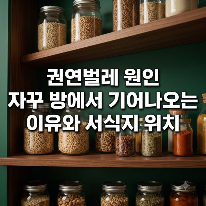 권연벌레 원인 자꾸 방에서 기어나오는 이유와 서식지 위치