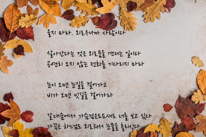 가을 시 모음, 요즘 감성의 시와 글그림 7편