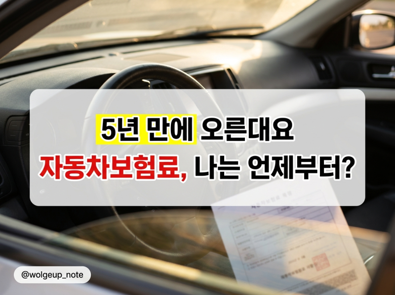 "5년 만에 오른대요" 자동차보험료, 나는 언제부터?