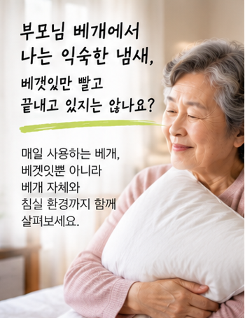 부모님 베개에서 나는 익숙한 냄새, 베갯잇만 빨고 끝내고 있지는 않나요?