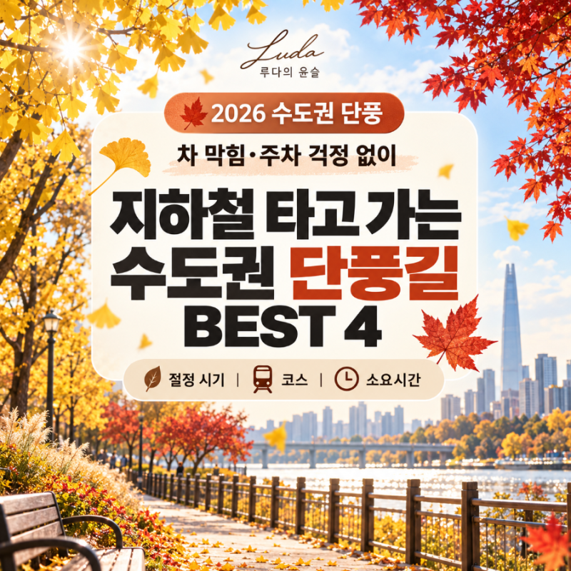 2026 수도권 단풍 명소 BEST 4｜지하철로 가는 서울·경기 단풍길
