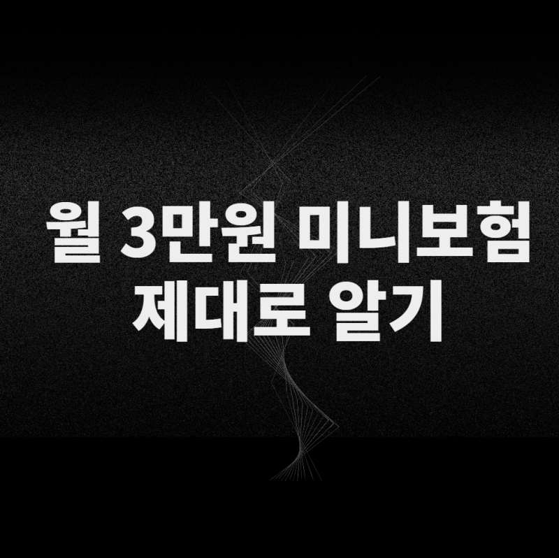 미니보험 월 3만원 이하, 진짜 가성비일까? 종합보험과 차이