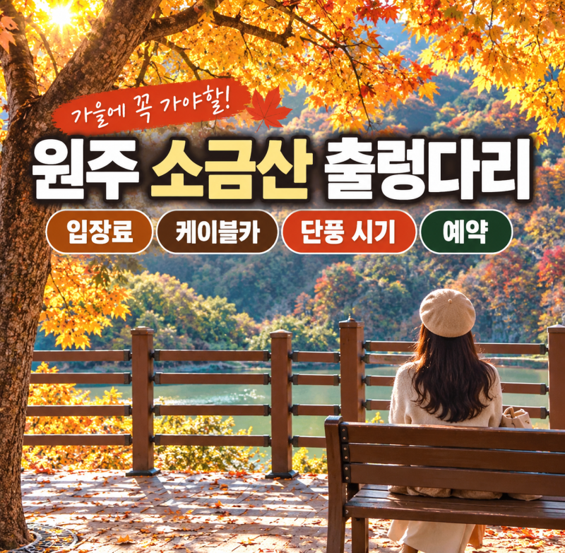 원주 소금산 출렁다리 입장료｜케이블카·단풍 시기·예약(+우대요금)
