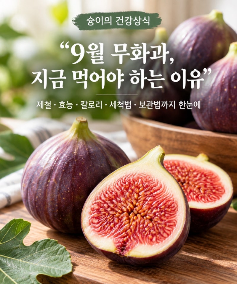 요즘 무화과 보이면 꼭 사야 하는 이유? 9월 제철 무화과 효능과 오래 보관하는 법